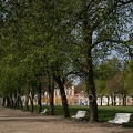 Schloss Rogalin (20090414 0110)